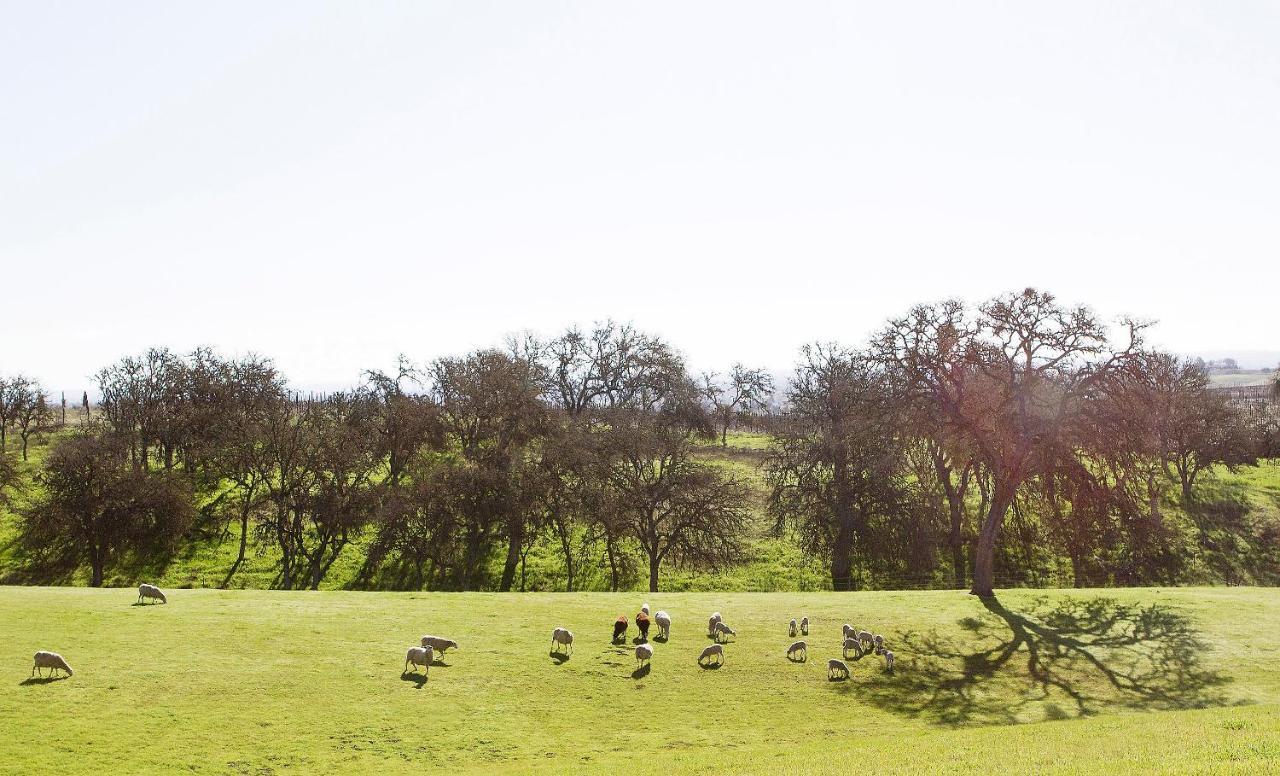 Reves De Moutons Hotel Paso Robles Exterior photo